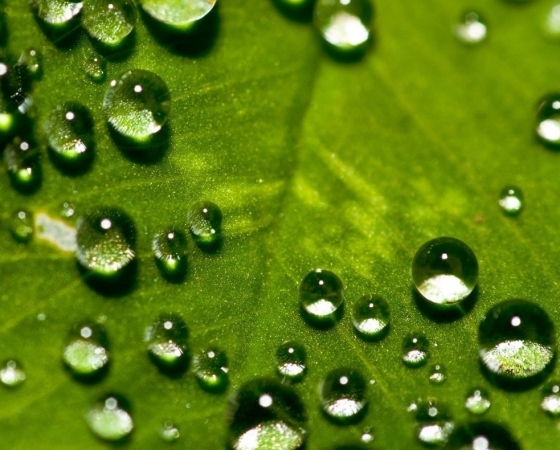Humidity Chamber